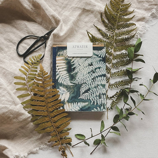 Under the Sun | Botanical Cyanotype Greeting Cards Boxed Set