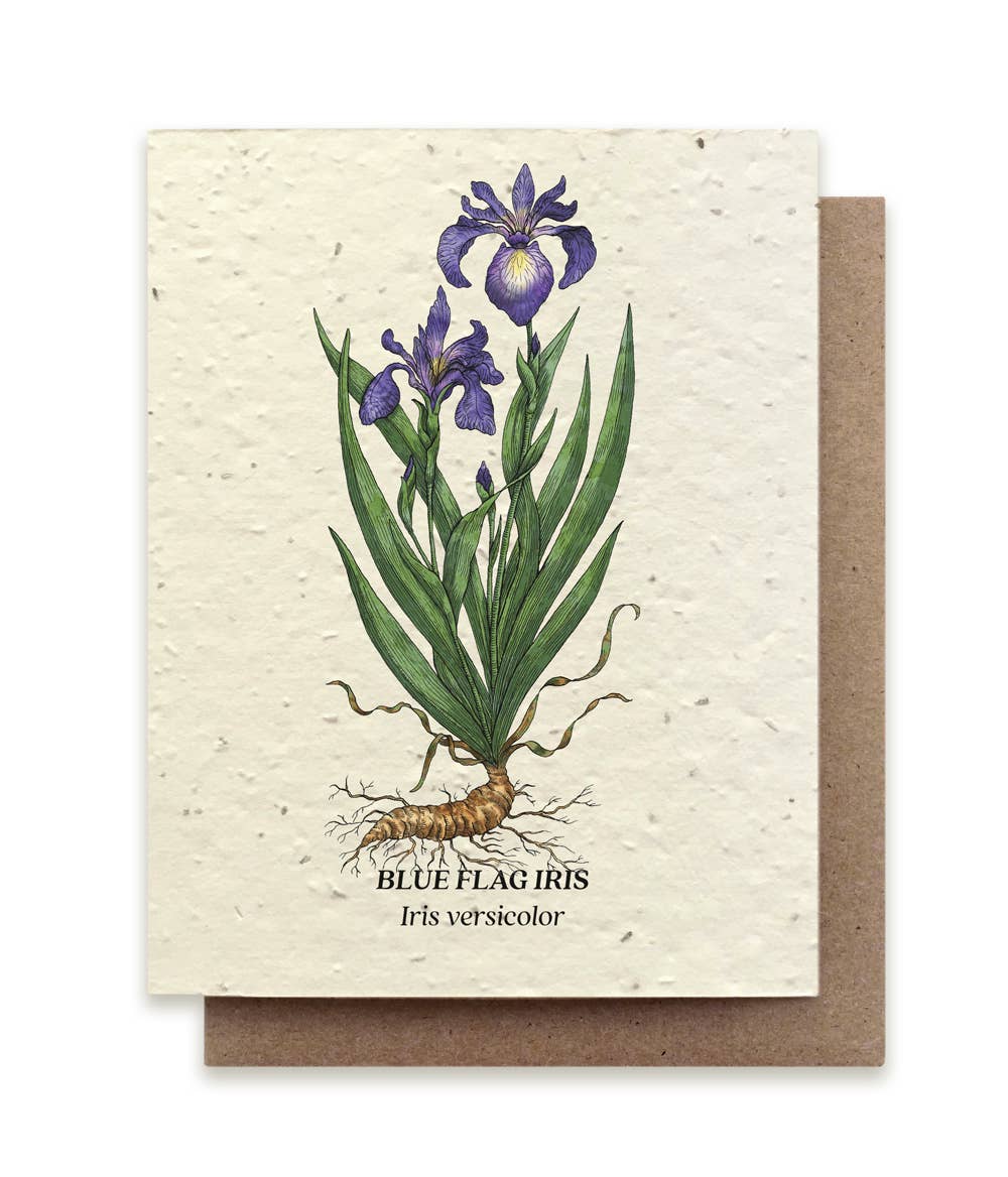 Plantable Wildflower Seed Card by Small Victories