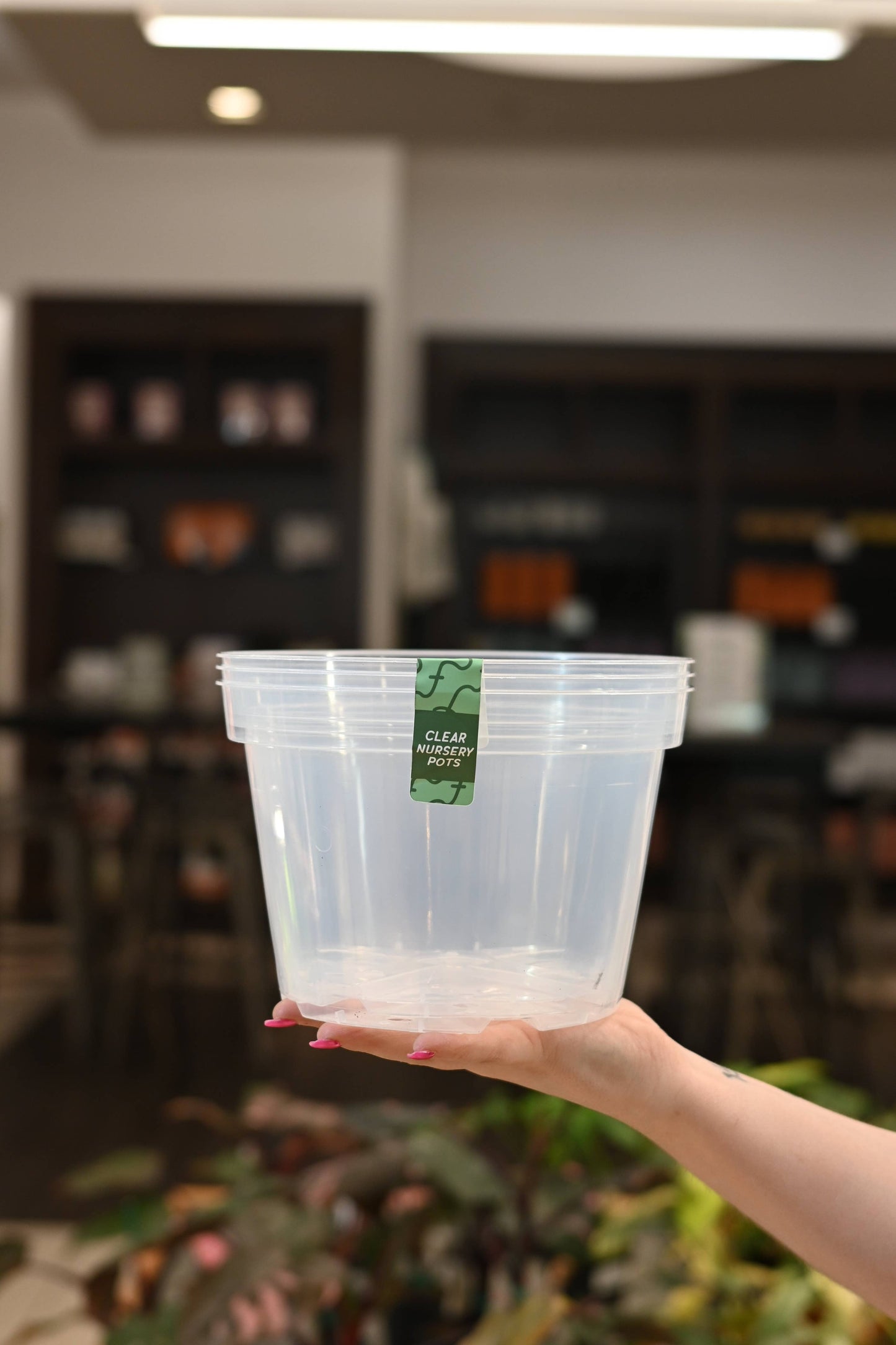 Clear Nursery Pots