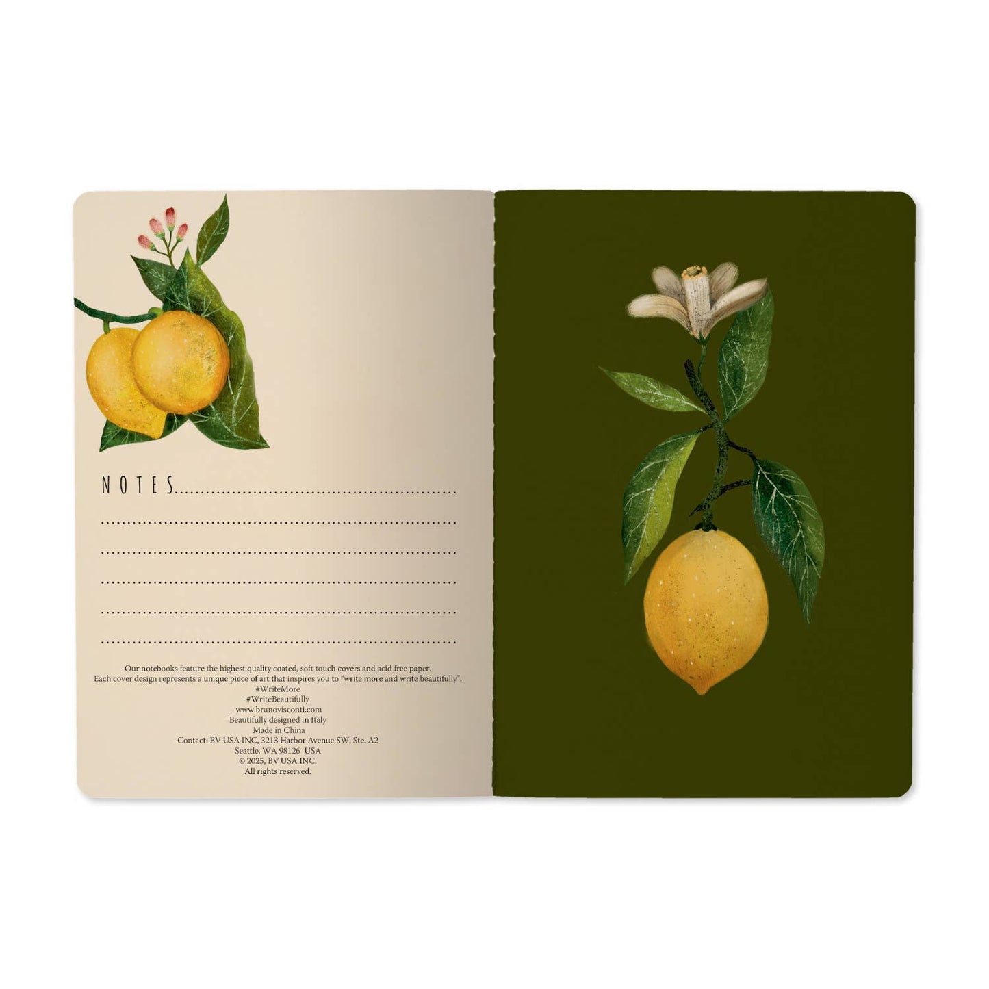 Journals and Notebooks by Bruno Visconti