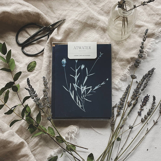 Herbs | Botanical Cyanotype Greeting Cards Boxed Set