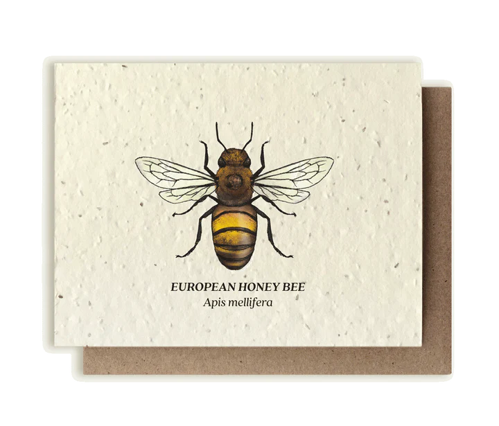 Bumble Bee Plantable Wildflower Seed Card by Small Victories