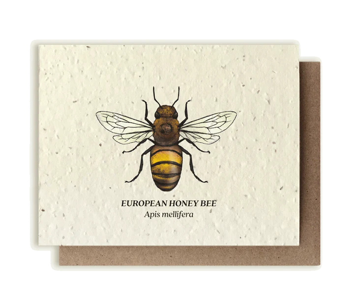 Plantable Wildflower Seed Card by Small Victories