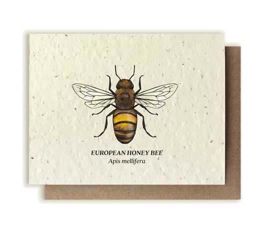 Plantable Wildflower Seed Card by Small Victories