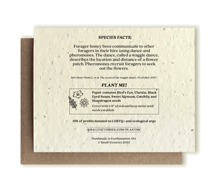 Plantable Wildflower Seed Card by Small Victories