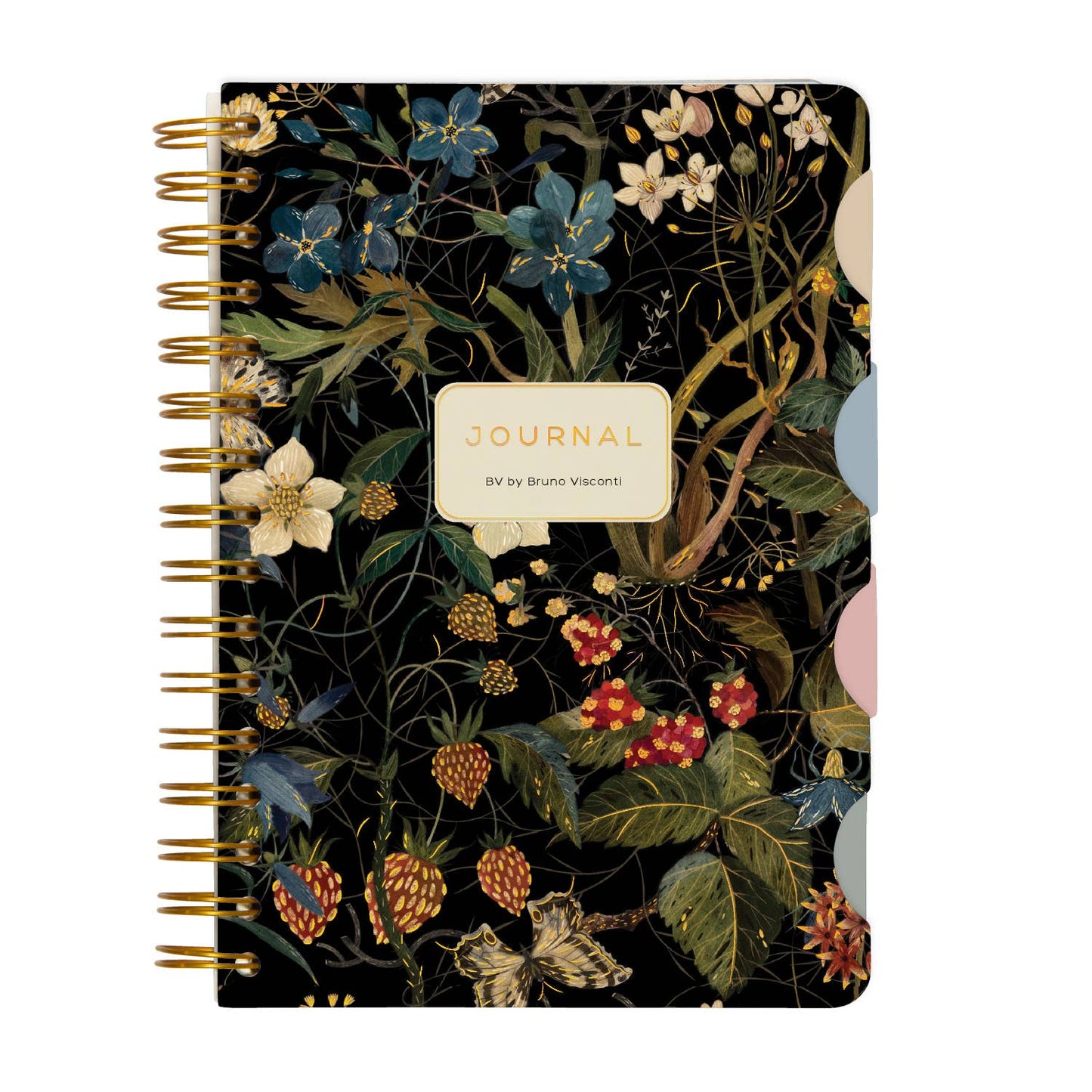 Journals and Notebooks by Bruno Visconti