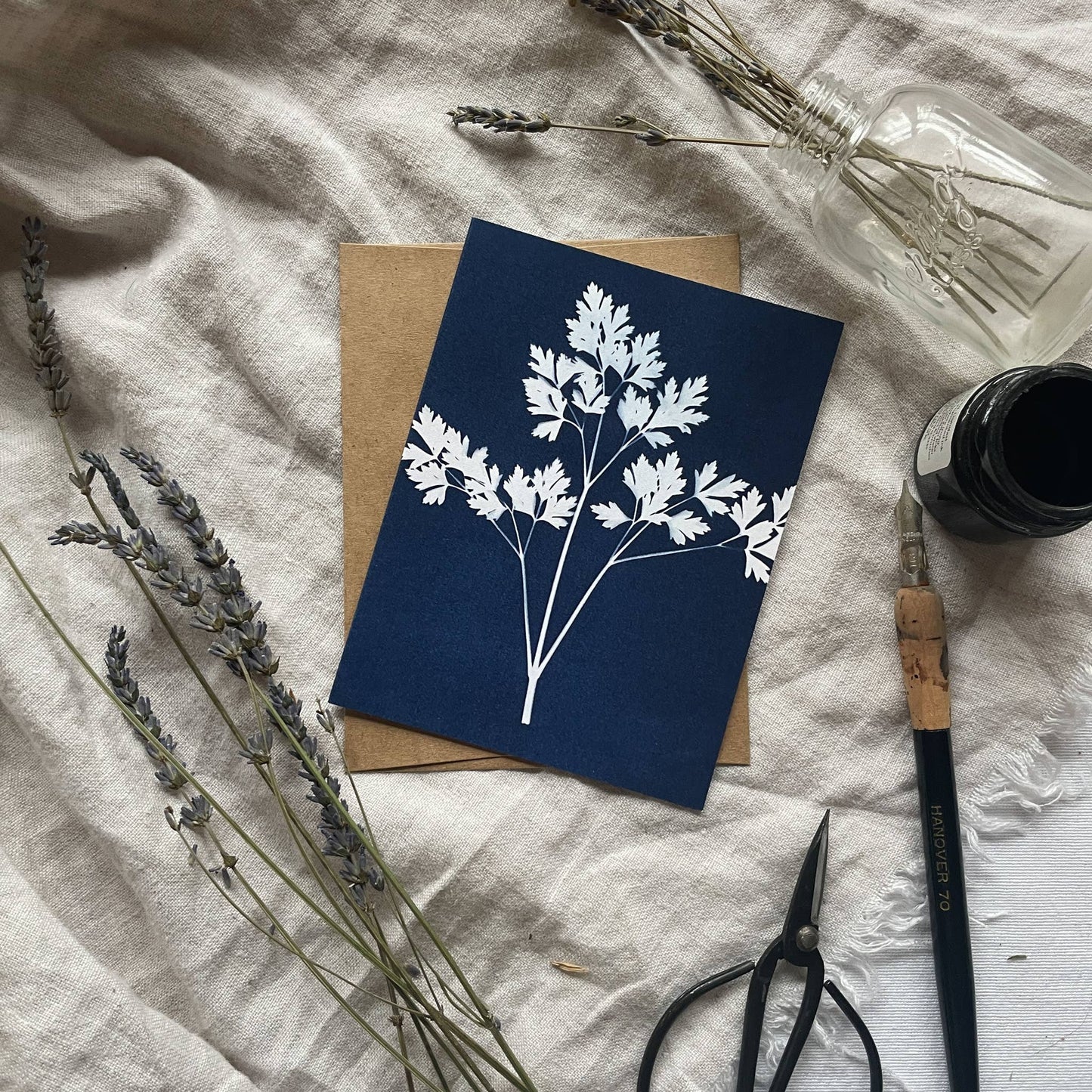 Herbs | Botanical Cyanotype Greeting Cards Boxed Set