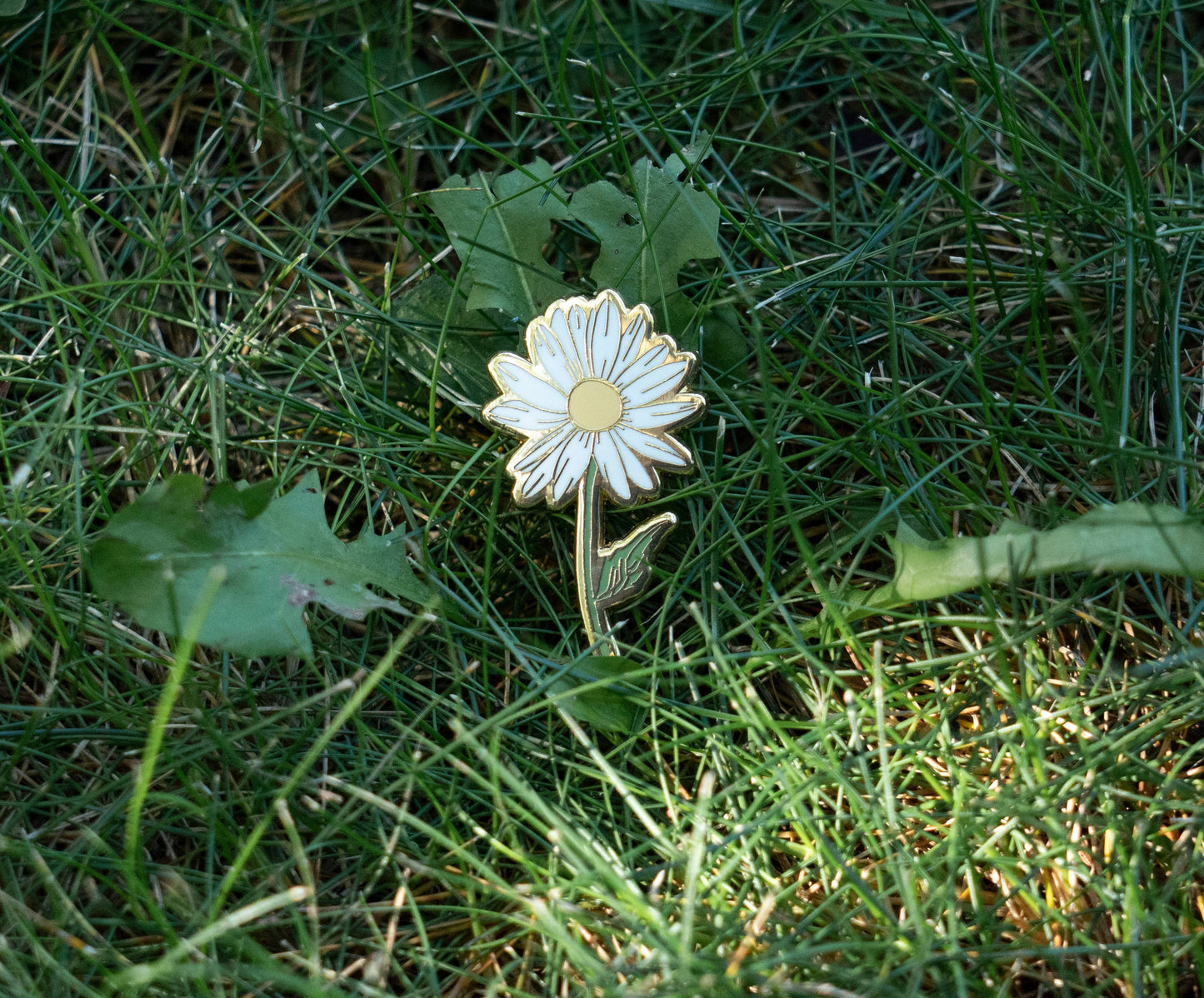 Daisy Pin Flower | Flower Shop Gift items | White Flower