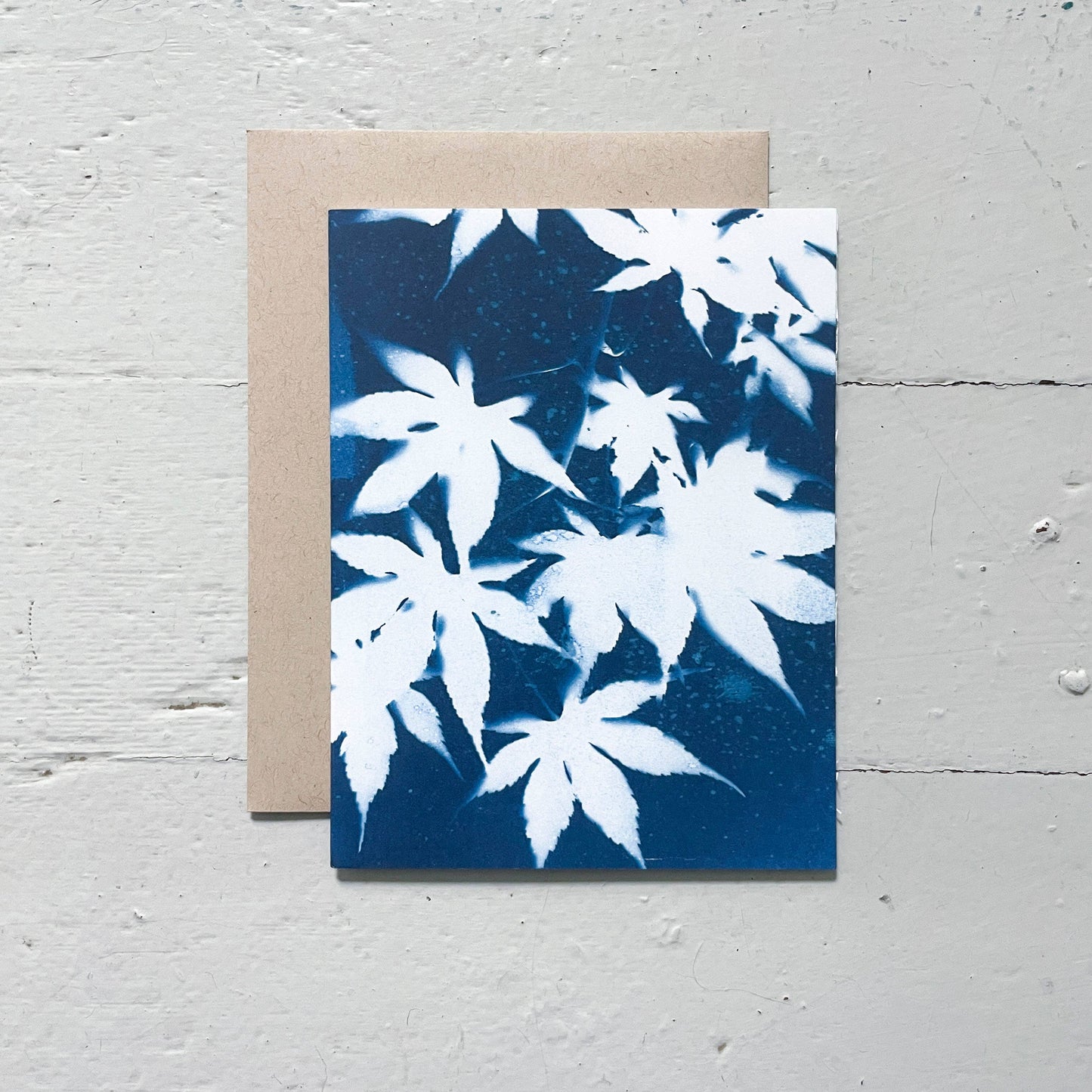 Slow Mornings | Botanical Cyanotype Greeting Cards Boxed Set