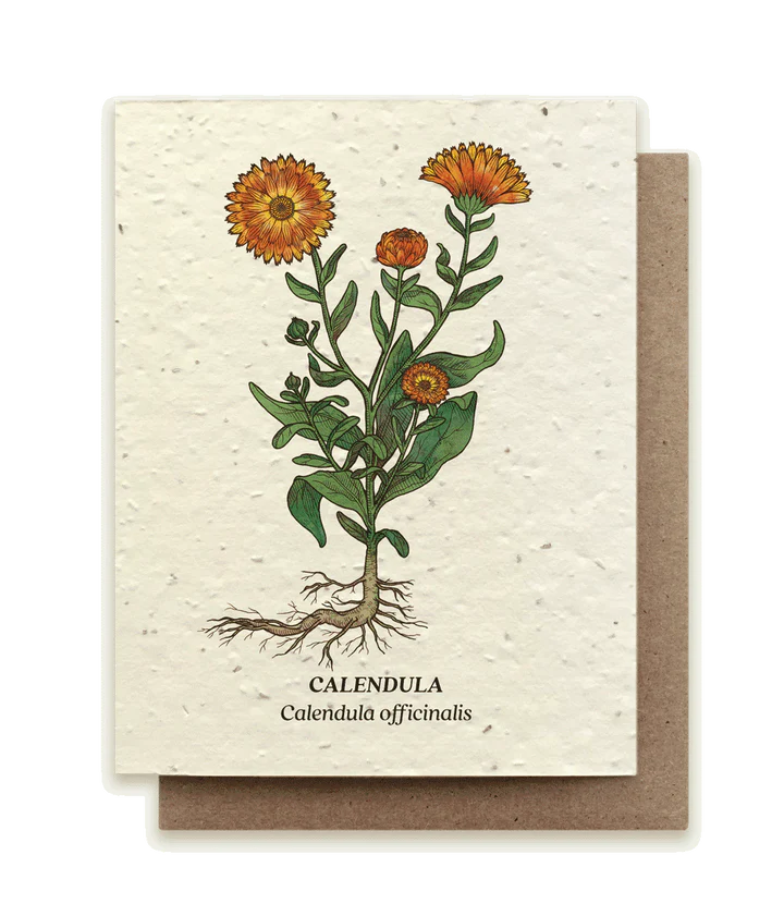 Calendula Plantable Wildflower Seed Card by Small Victories