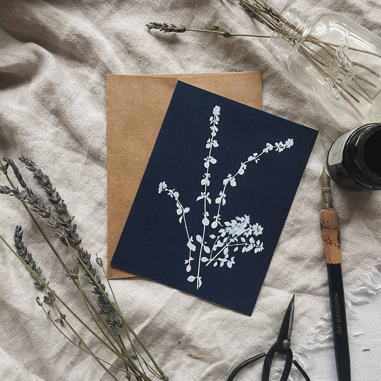Herbs | Botanical Cyanotype Greeting Cards Boxed Set