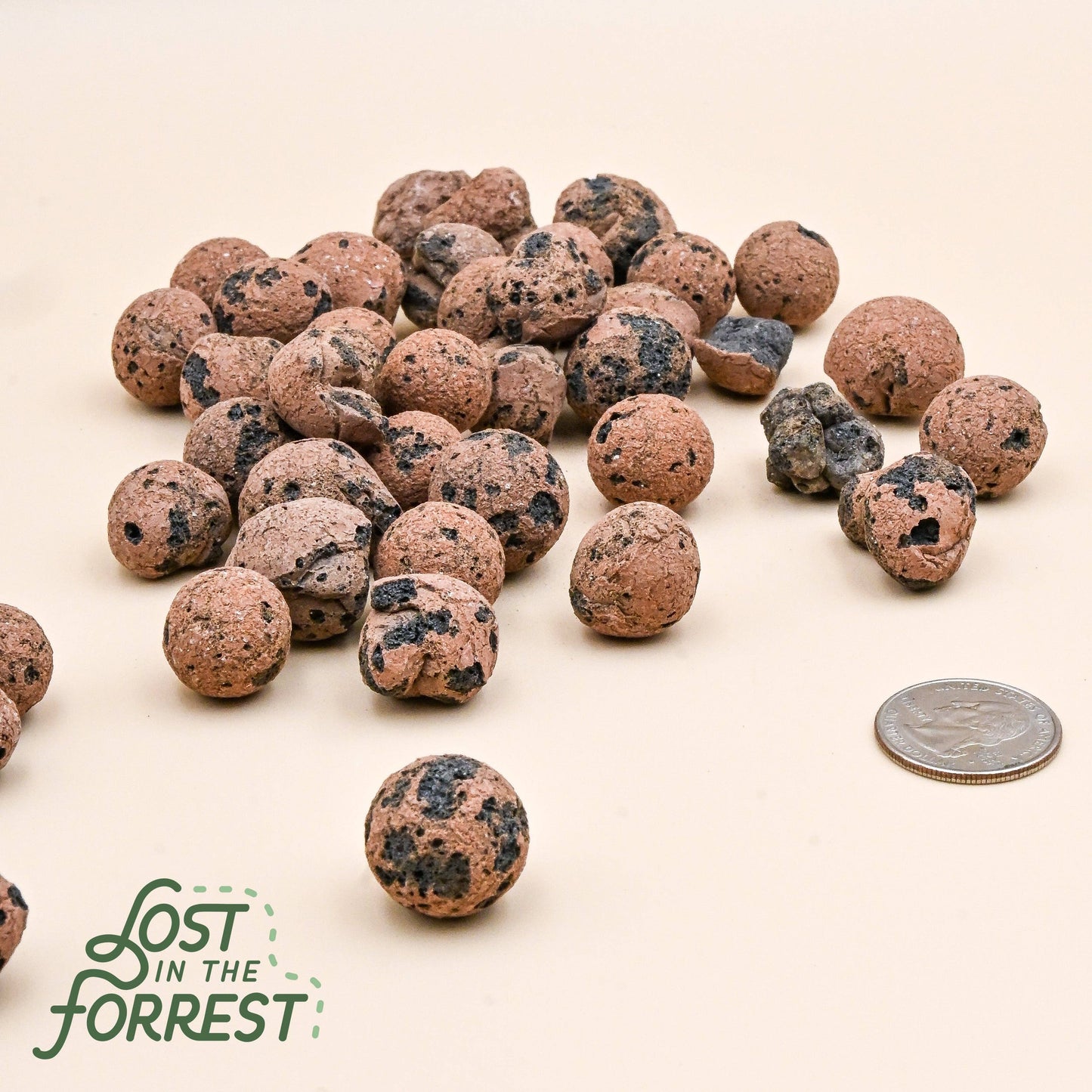 LECA — Lightweight Expanded Clay Aggregate for Semi-Hydroponics