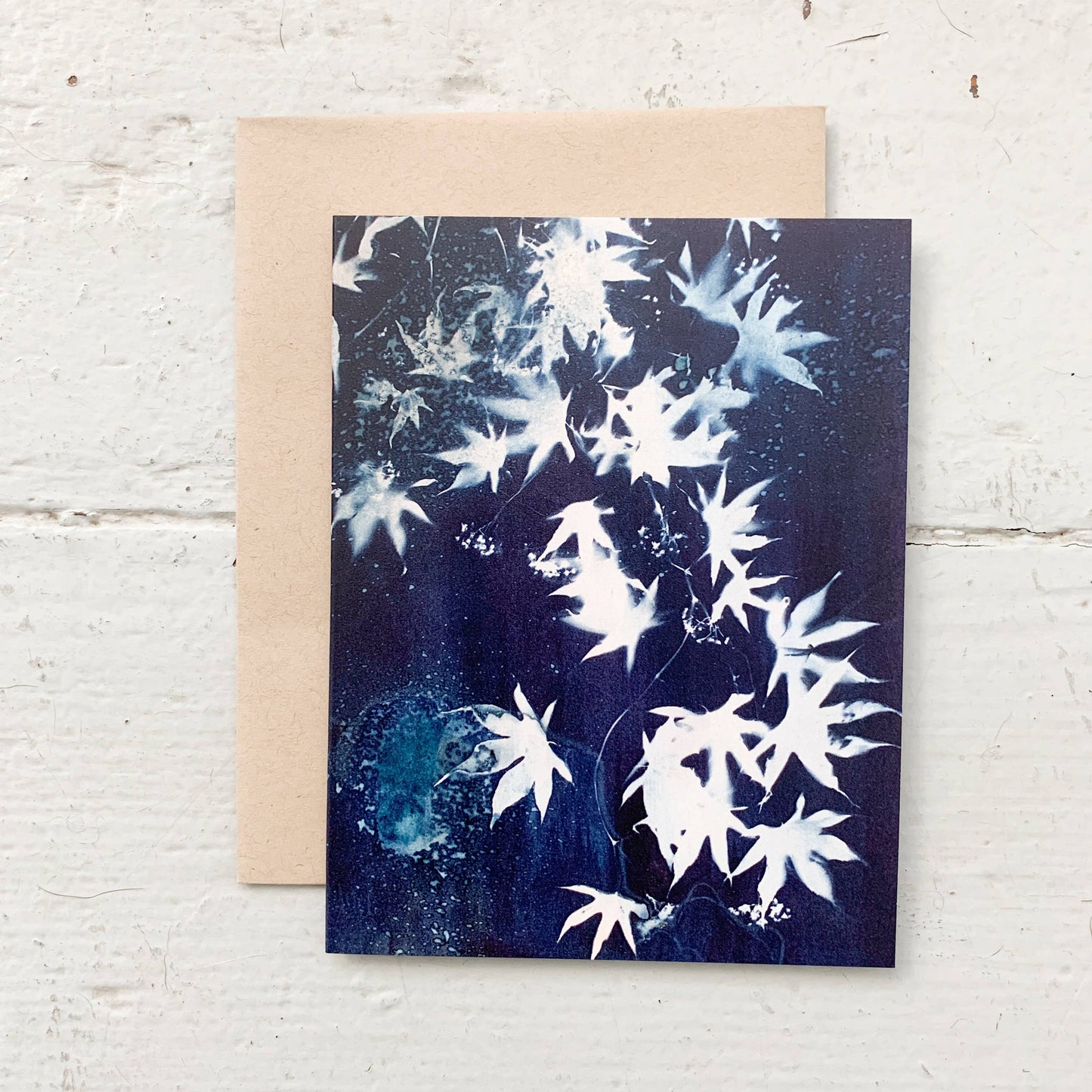 Under the Sun | Botanical Cyanotype Greeting Cards Boxed Set