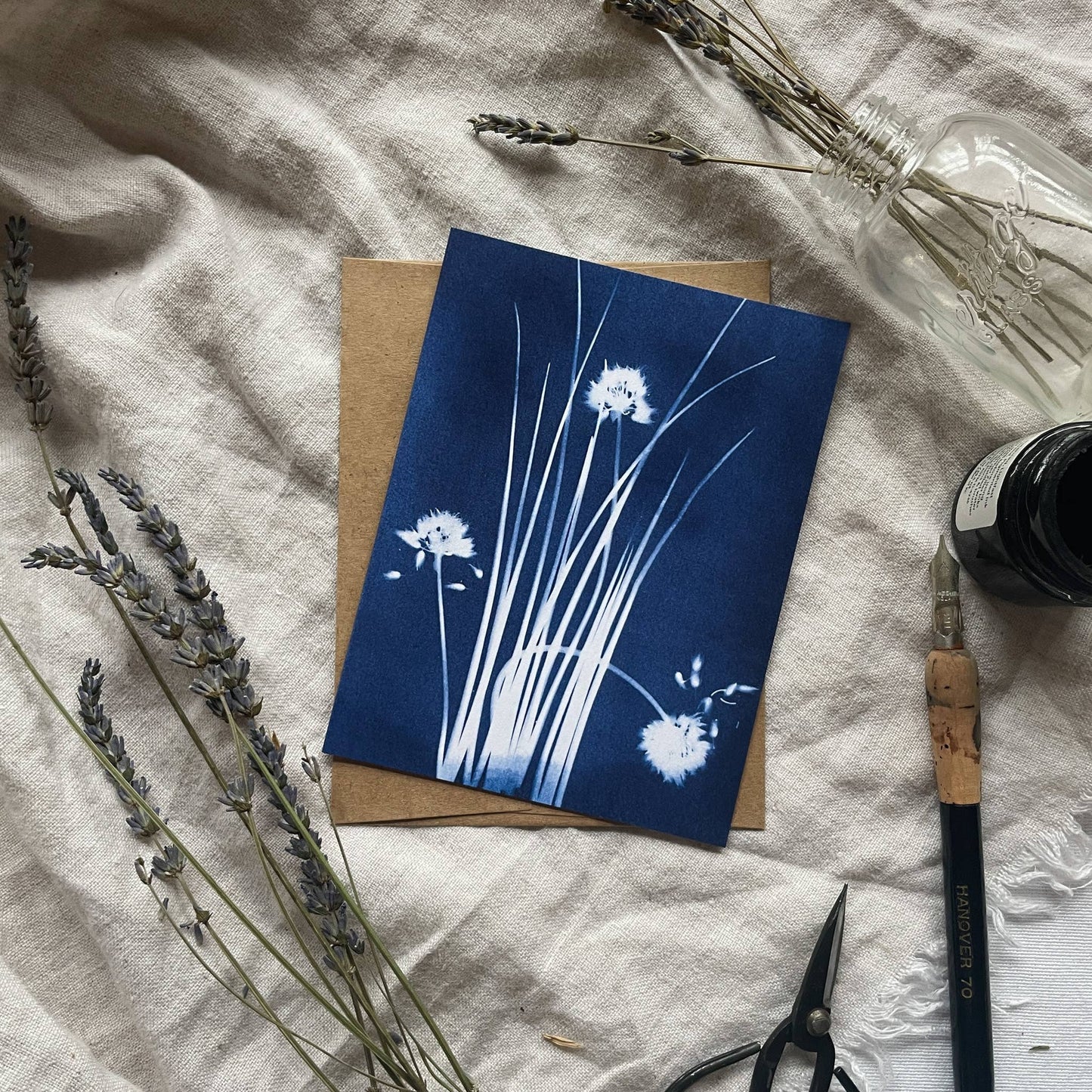 Herbs | Botanical Cyanotype Greeting Cards Boxed Set