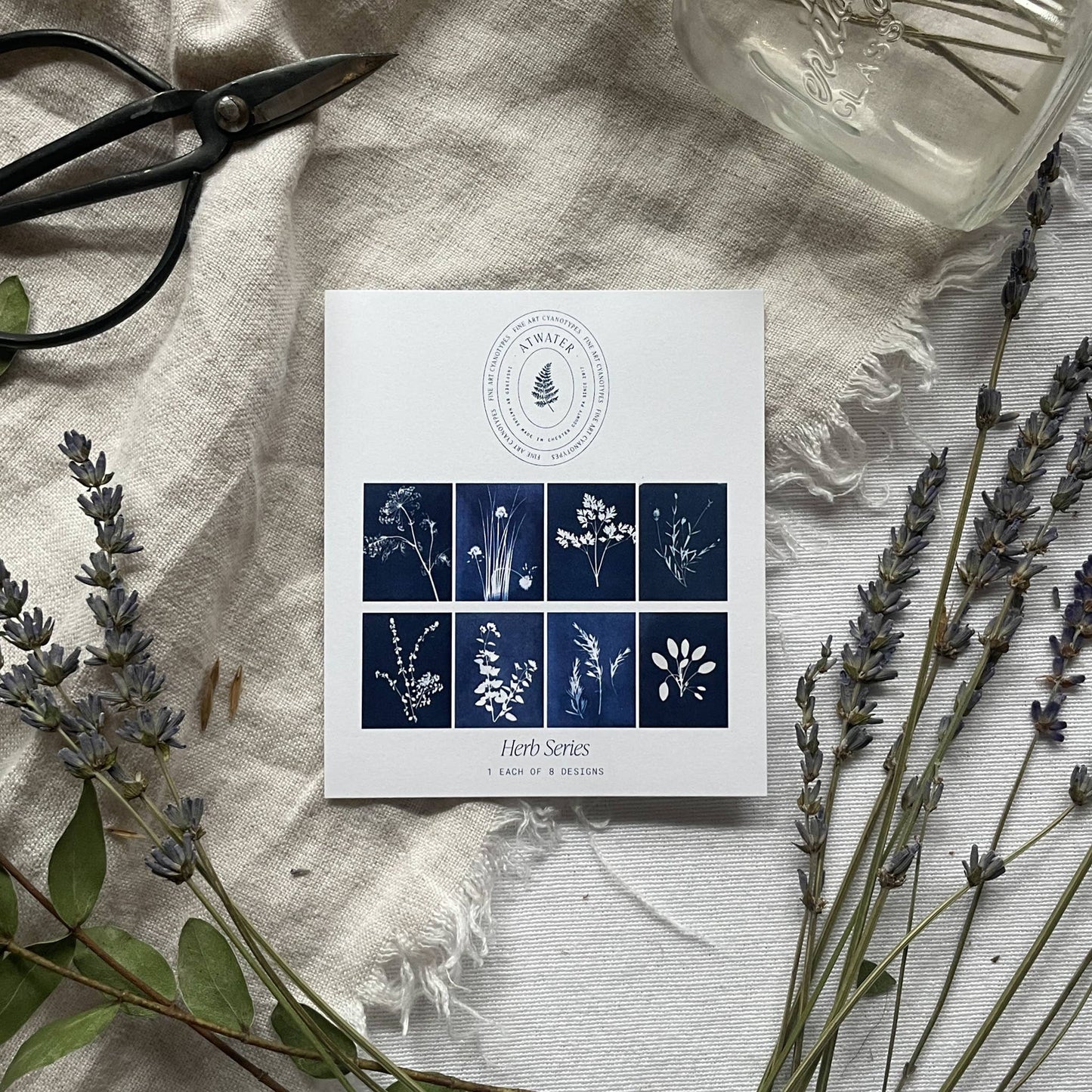 Herbs | Botanical Cyanotype Greeting Cards Boxed Set