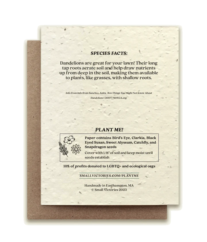Dandelion Plantable Wildflower Seed Card by Small Victories