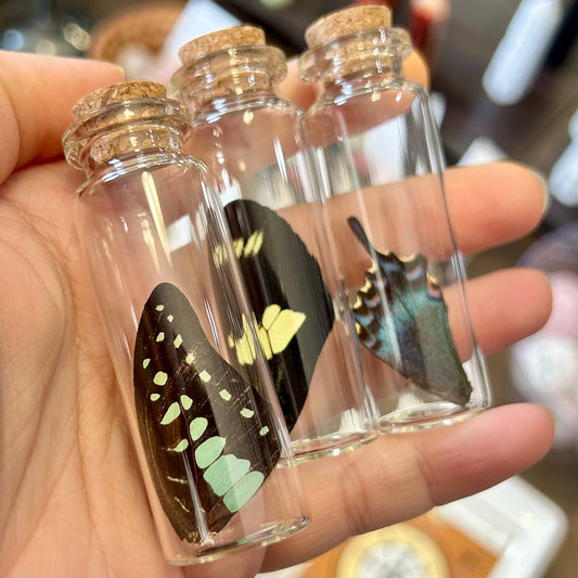 Butterfly Wing Vial