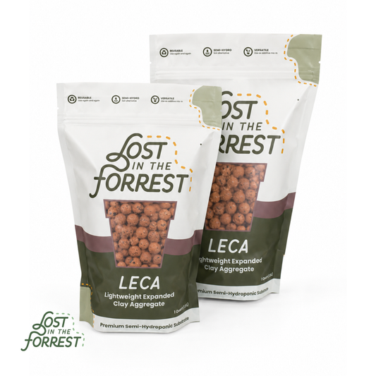 LECA — Lightweight Expanded Clay Aggregate for Semi-Hydroponics