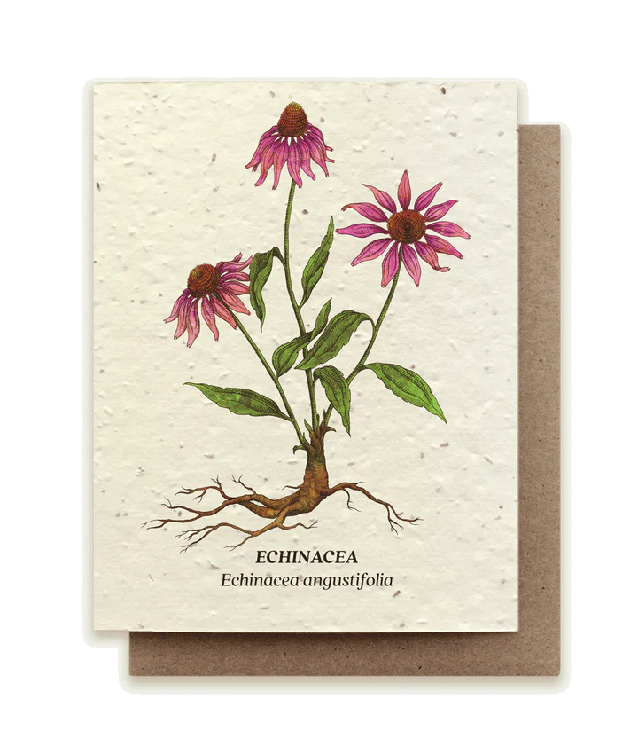 Echinacea Plantable Wildflower Seed Card by Small Victories