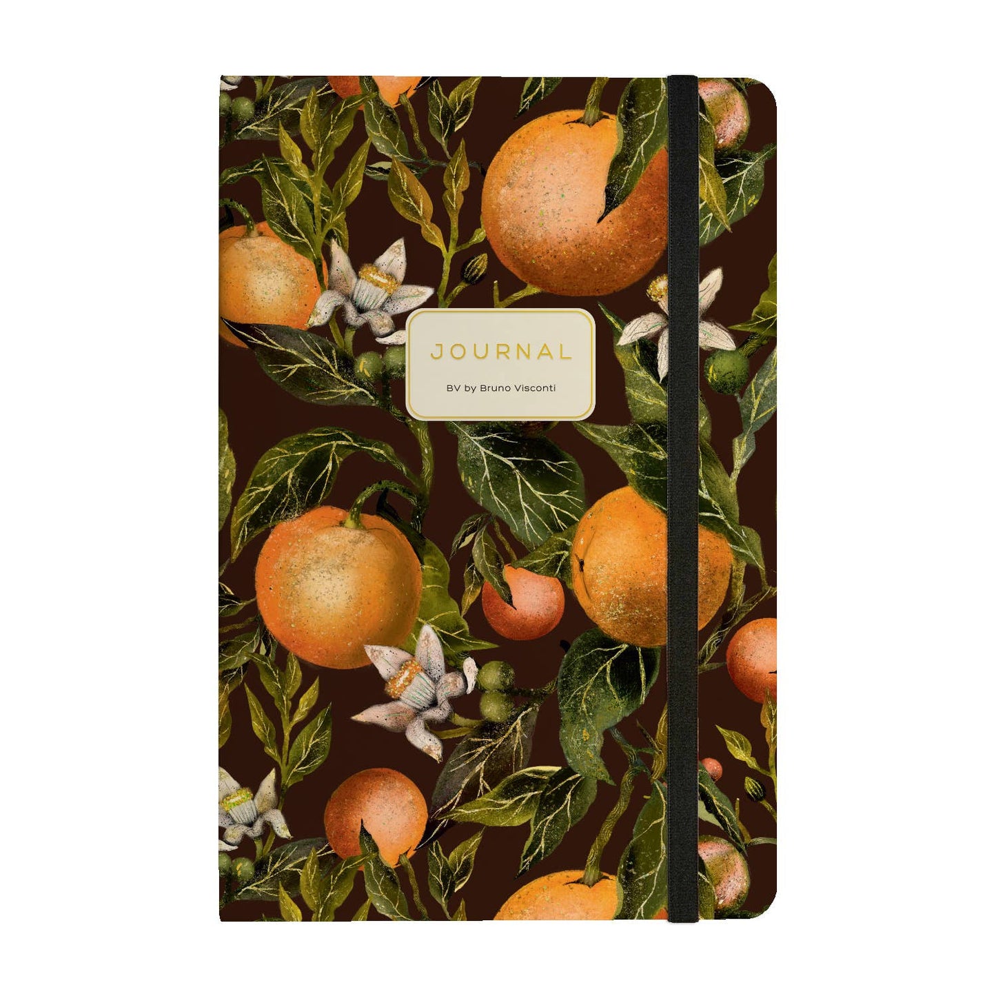 Journals and Notebooks by Bruno Visconti