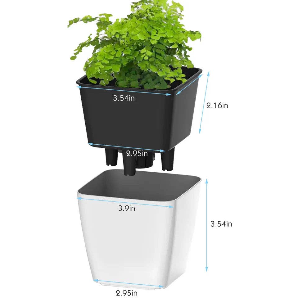 Self-Watering Pot with Water Level Indicator