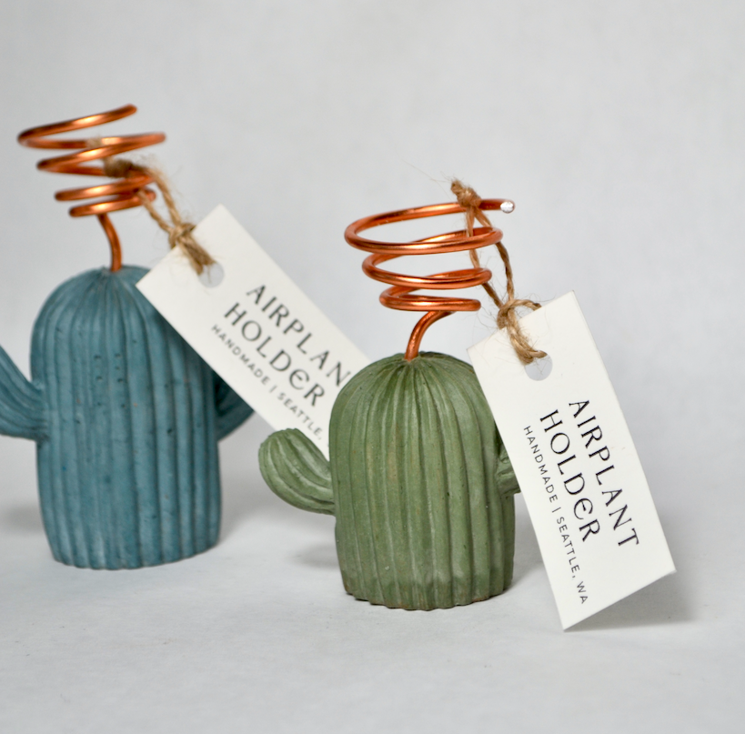 Cactus Airplant Holder