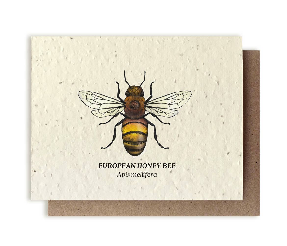 Plantable Wildflower Seed Card by Small Victories