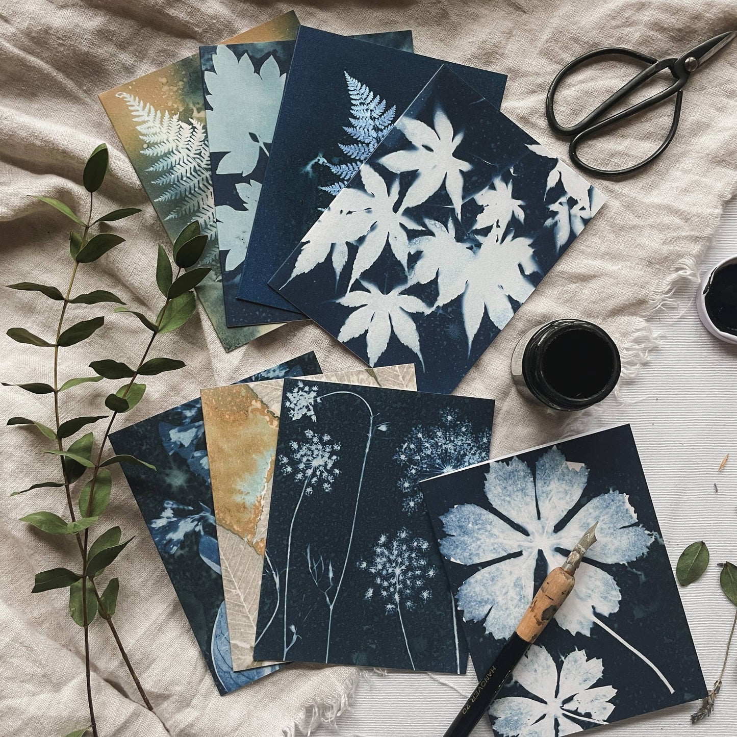 Slow Mornings | Botanical Cyanotype Greeting Cards Boxed Set