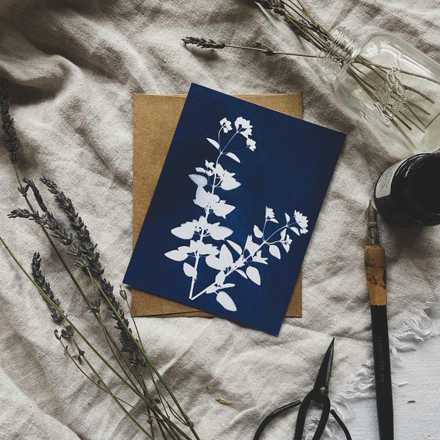 Herbs | Botanical Cyanotype Greeting Cards Boxed Set
