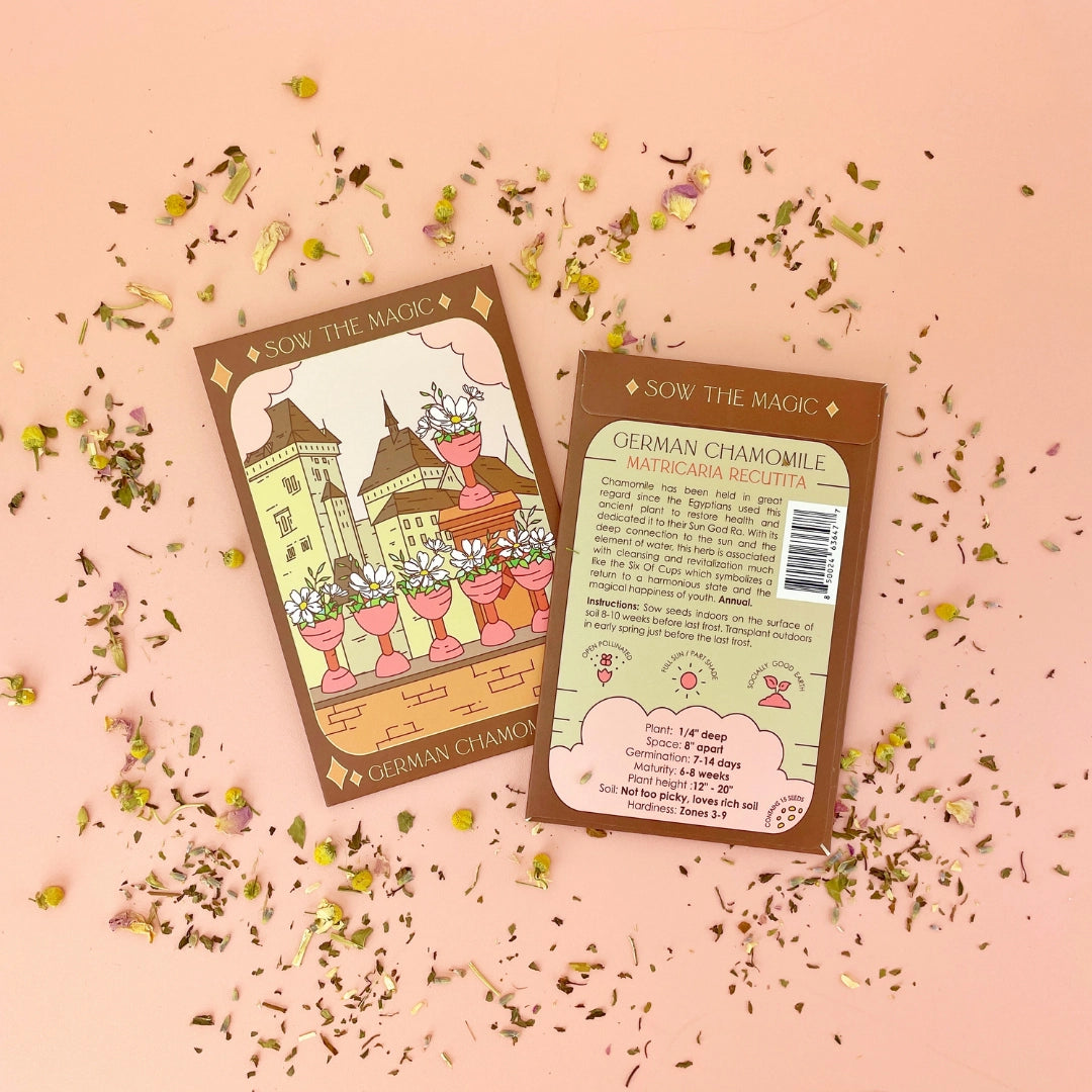 Sow the Magic Flower and Herb Seeds