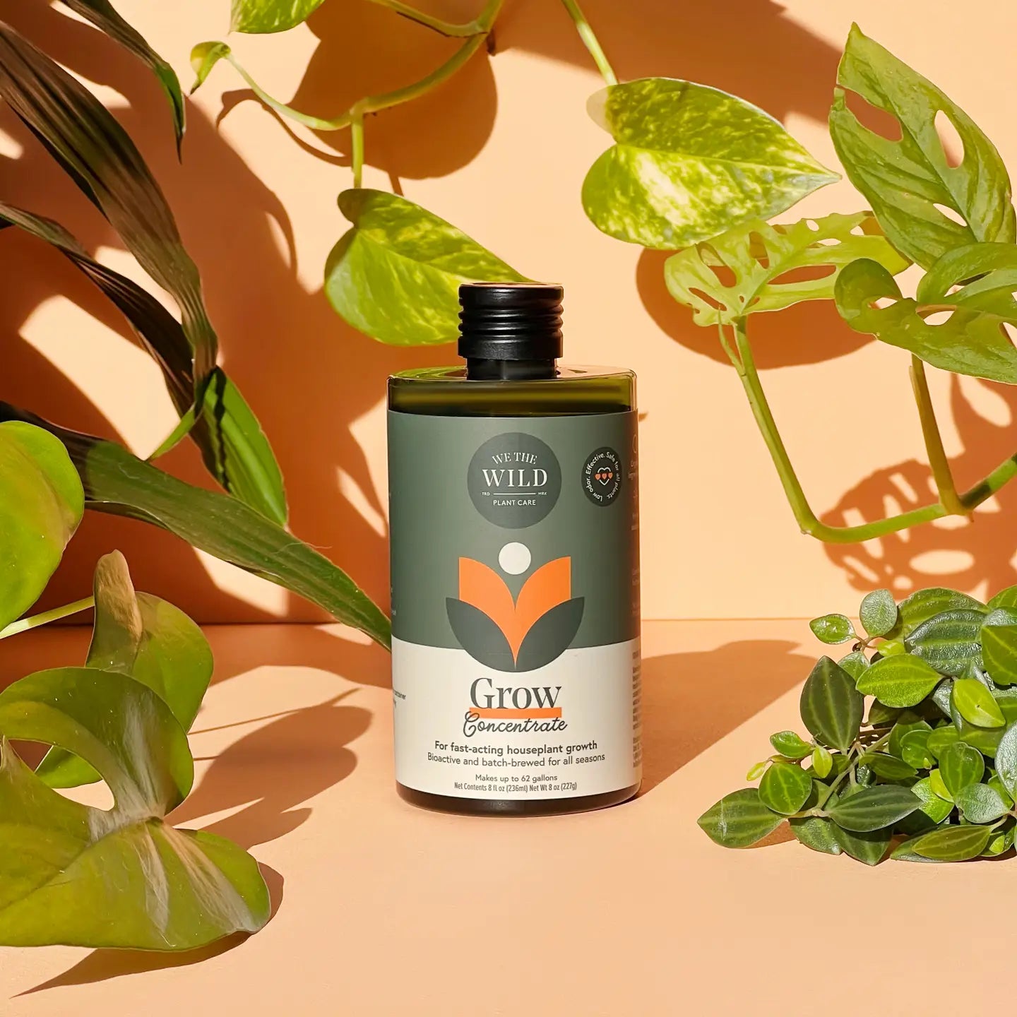 Grow Concentrate - We the Wild Plant Care