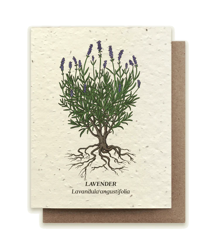 Lavender Plantable Wildflower Seed Card by Small Victories