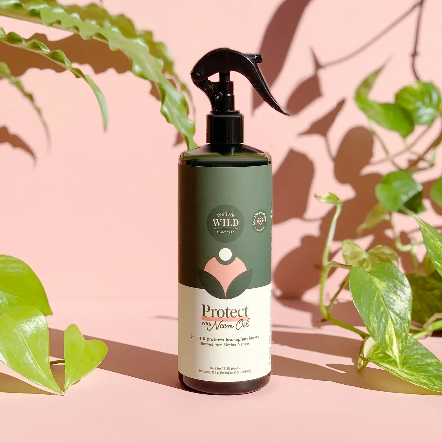 Protect Spray with Neem - We the Wild Plant Care
