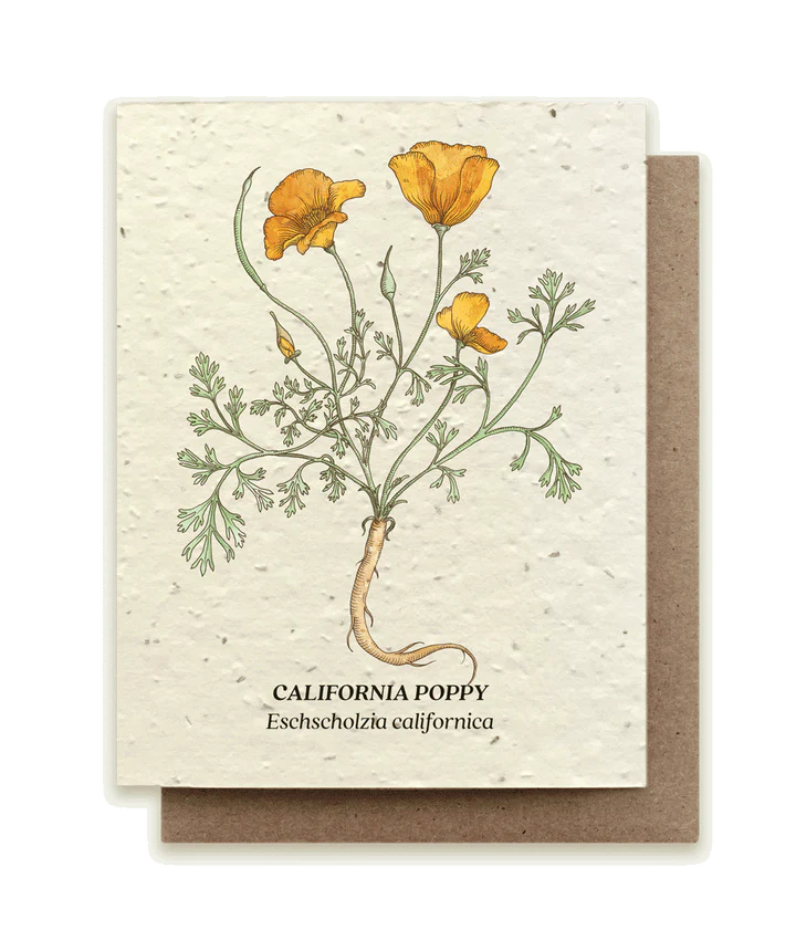 California Poppy Plantable Wildflower Seed Card by Small Victories