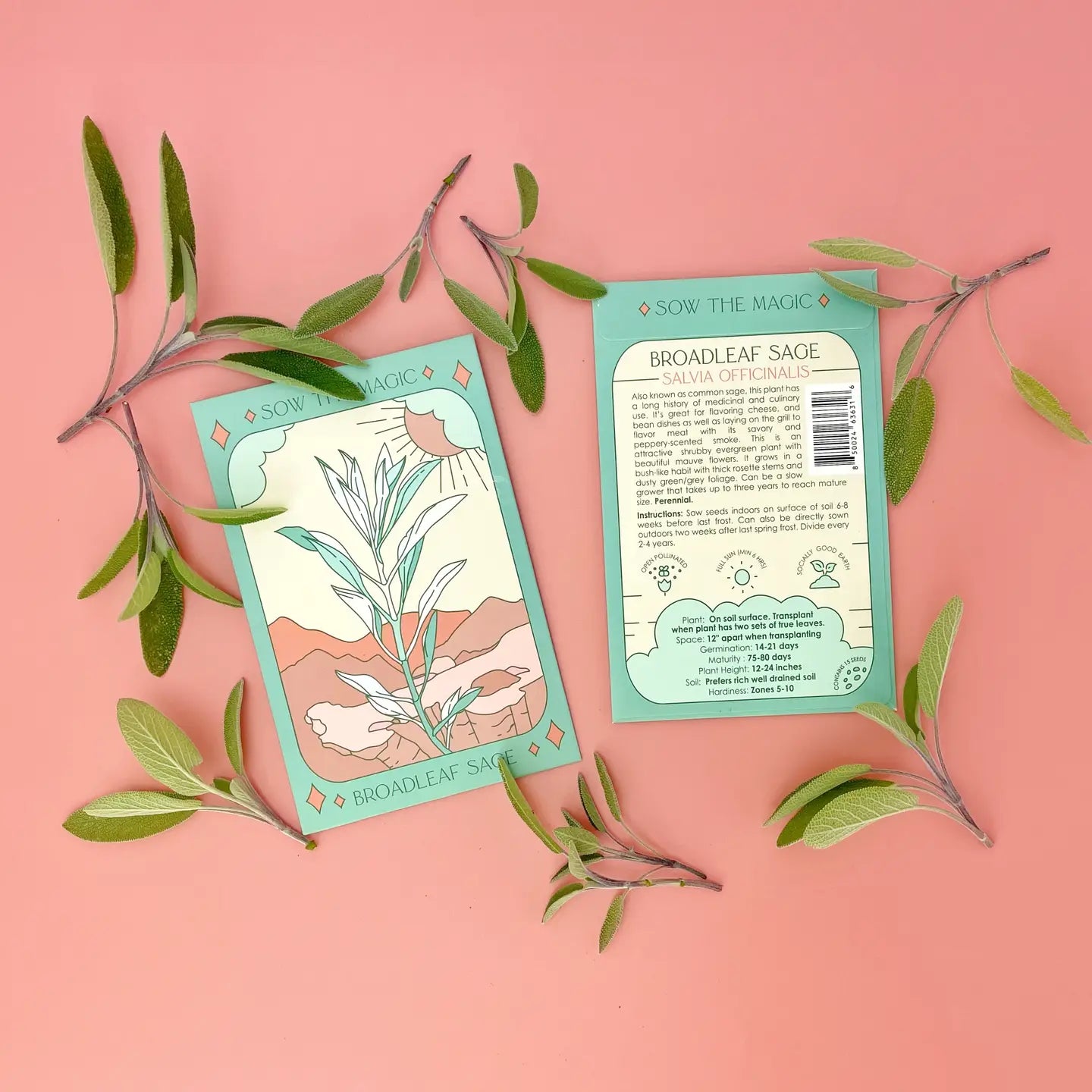 Sow the Magic Flower and Herb Seeds
