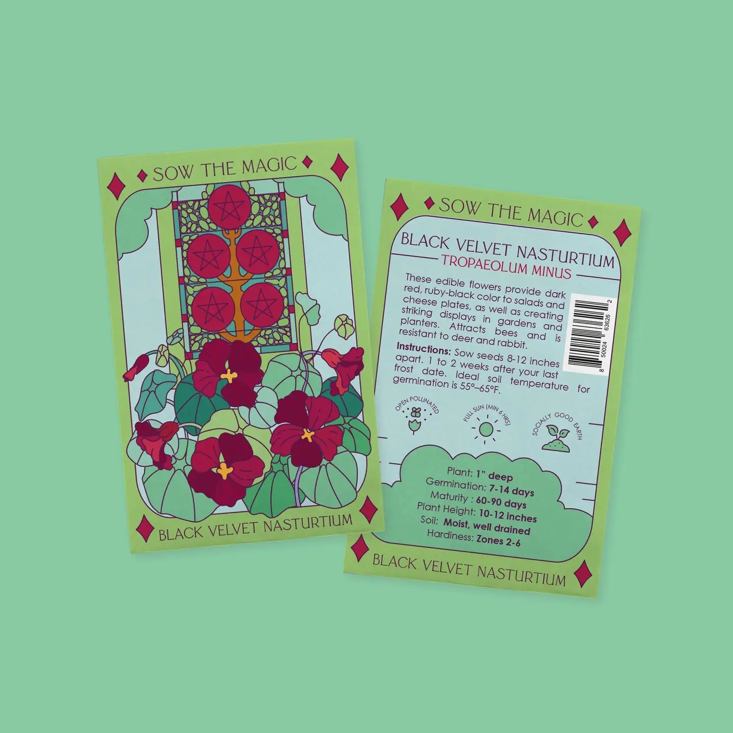Sow the Magic Flower and Herb Seeds