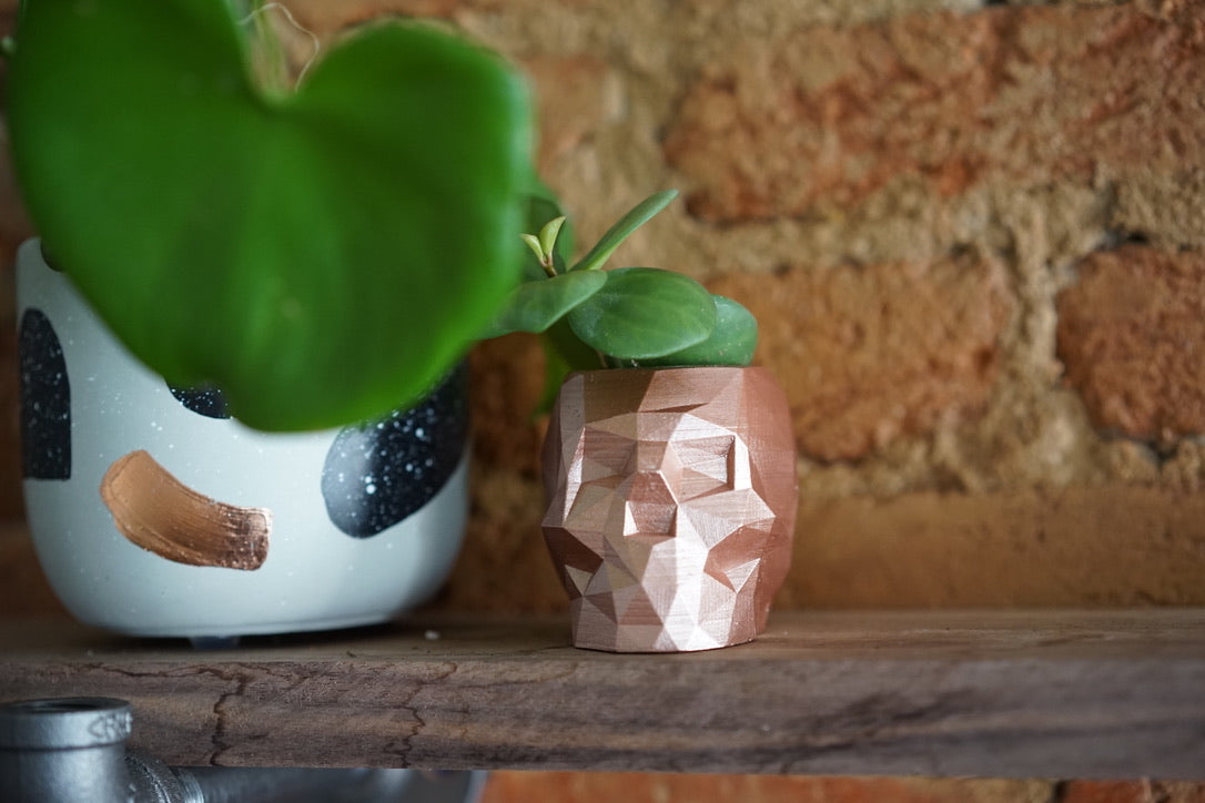 Rose Gold Skull Planter by the Concrete Letter - Greenly Plant Co