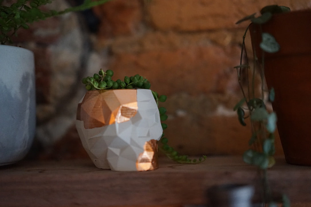 Skull Planter by The Concrete Letter - Greenly Plant Co