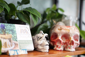 Open image in slideshow, Skull and Snake Planter by Maker Missya - Greenly Plant Co
