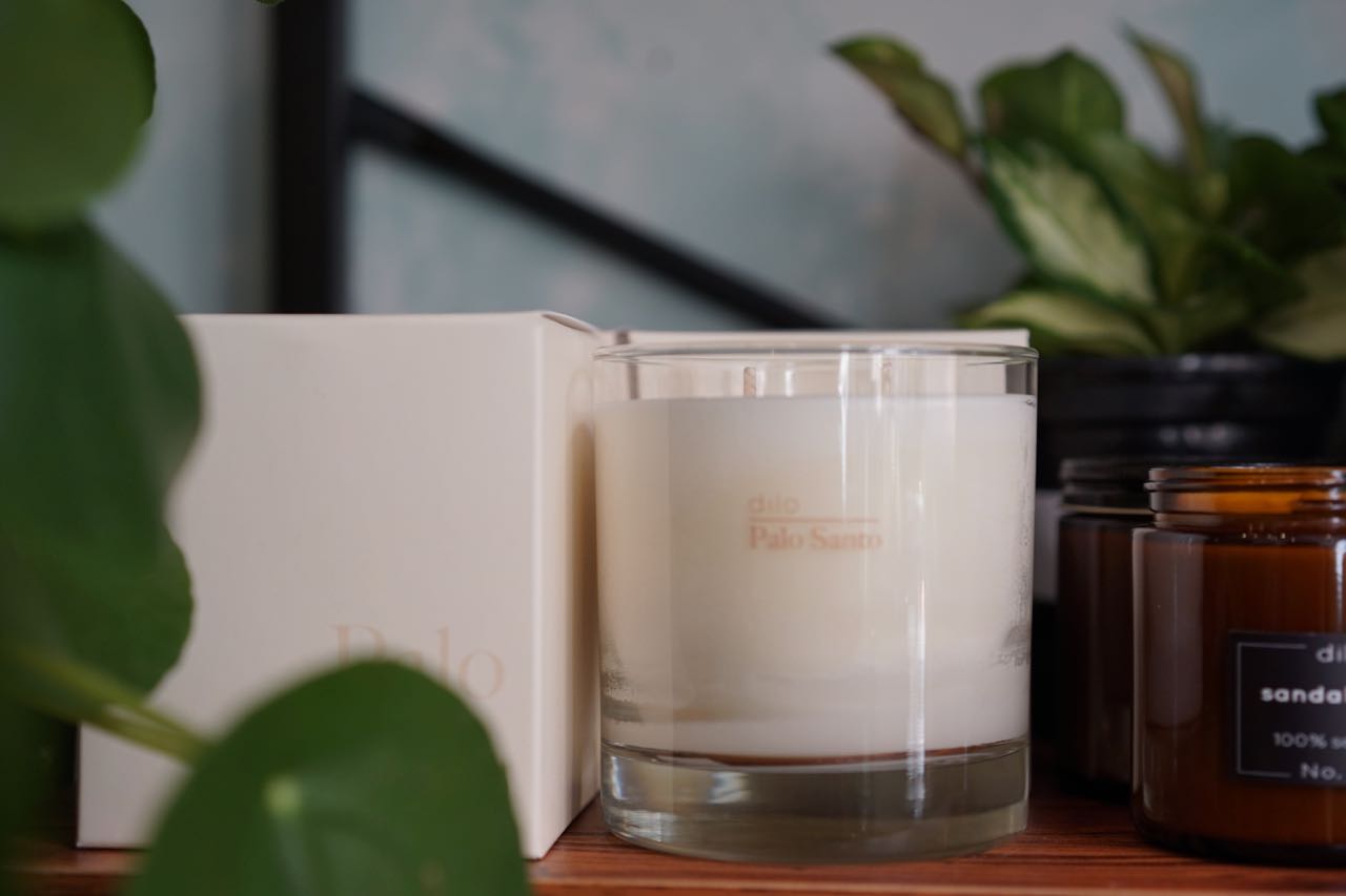 Palo Santo Candle by Dilo - Greenly Plant Co