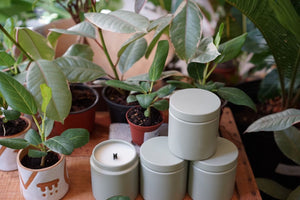 Greenly Plant Co. Candle by Love You All Day - Greenly Plant Co