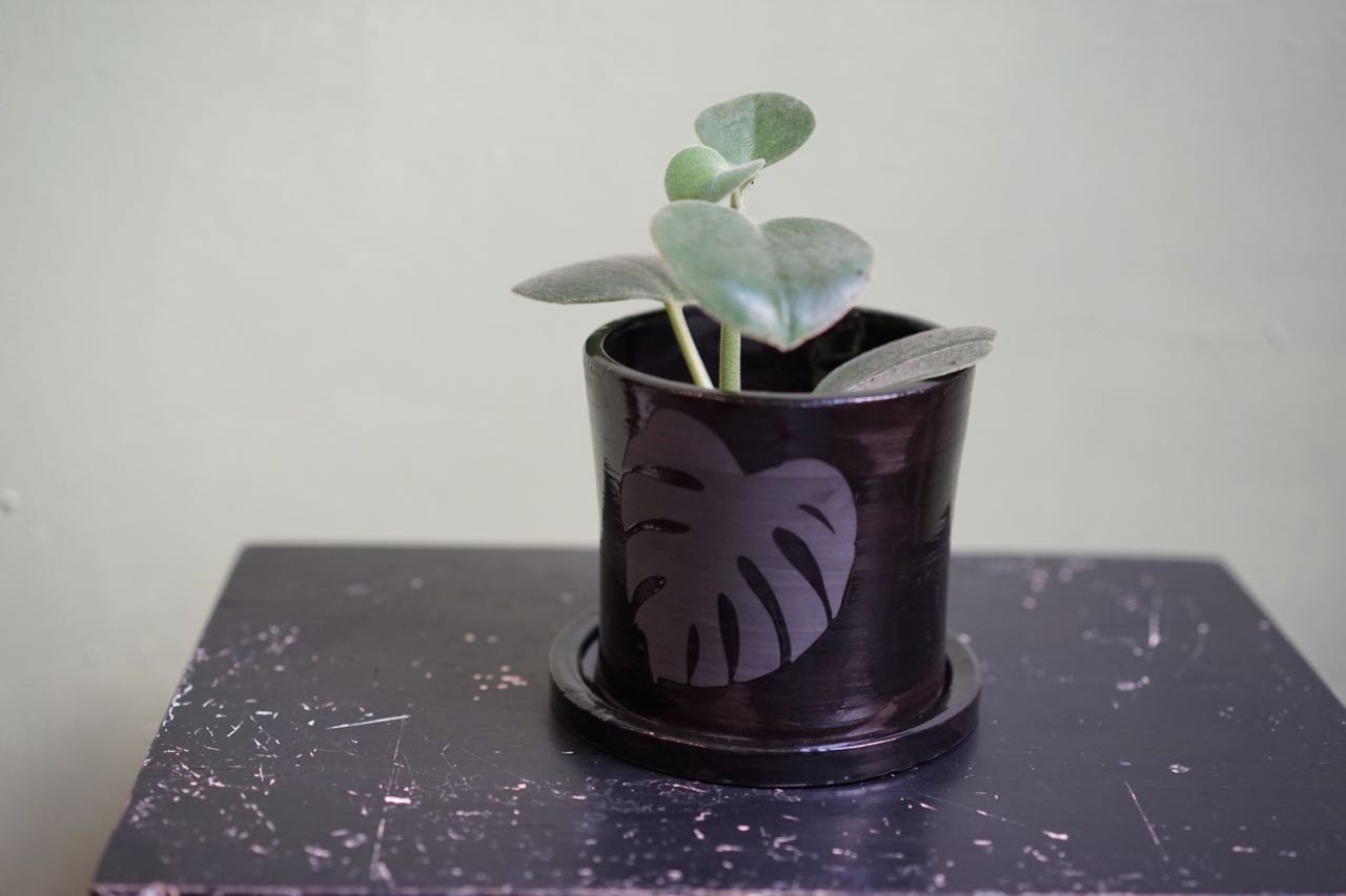 Black Monstera Planter w/ Tray by The Ash of All Trades - Greenly Plant Co