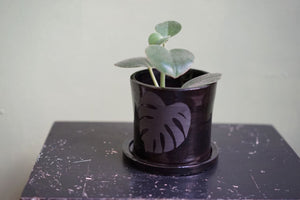 Black Monstera Planter w/ Tray by The Ash of All Trades - Greenly Plant Co