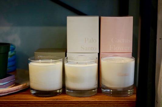 Desert Kush Candle by Dilo - Greenly Plant Co