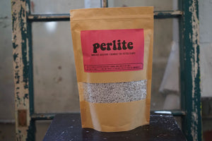 Perlite from The Lush Studio - Greenly Plant Co