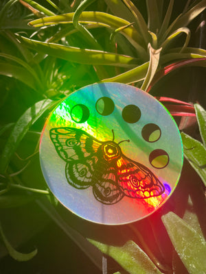 Holographic Moons and Moth Sticker by Jess Weymouth - Greenly Plant Co