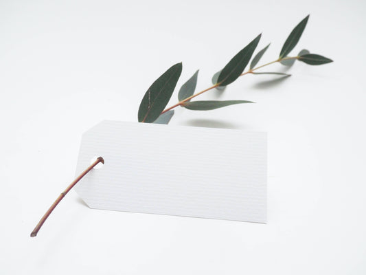 Greenly Plant Co Gift Card - Greenly Plant Co